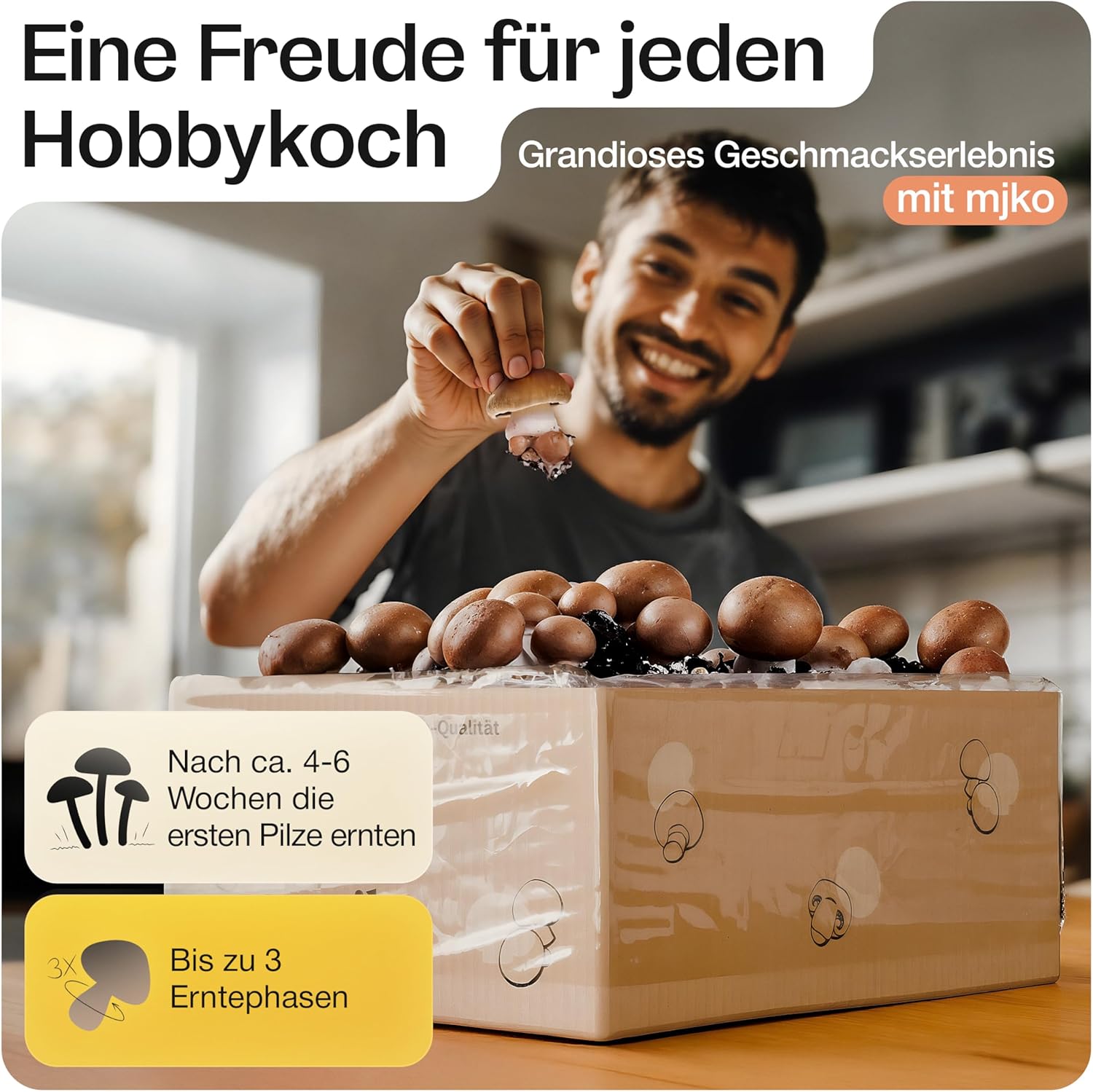 Sparpaket: Bio-Pilzboxen „weiße Champignons“ und „braune Champignons“