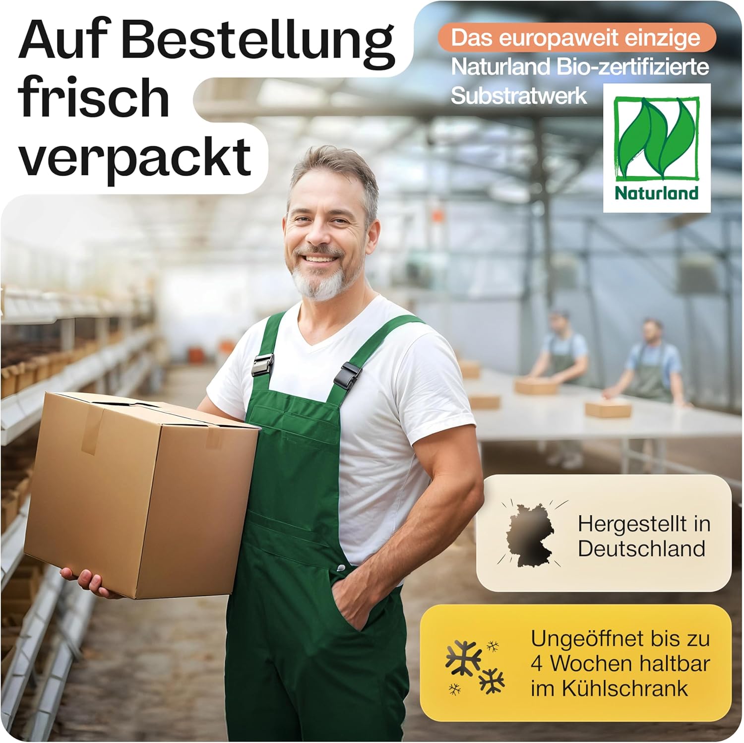 Sparpaket: Bio-Pilzboxen „weiße Champignons“ und „braune Champignons“