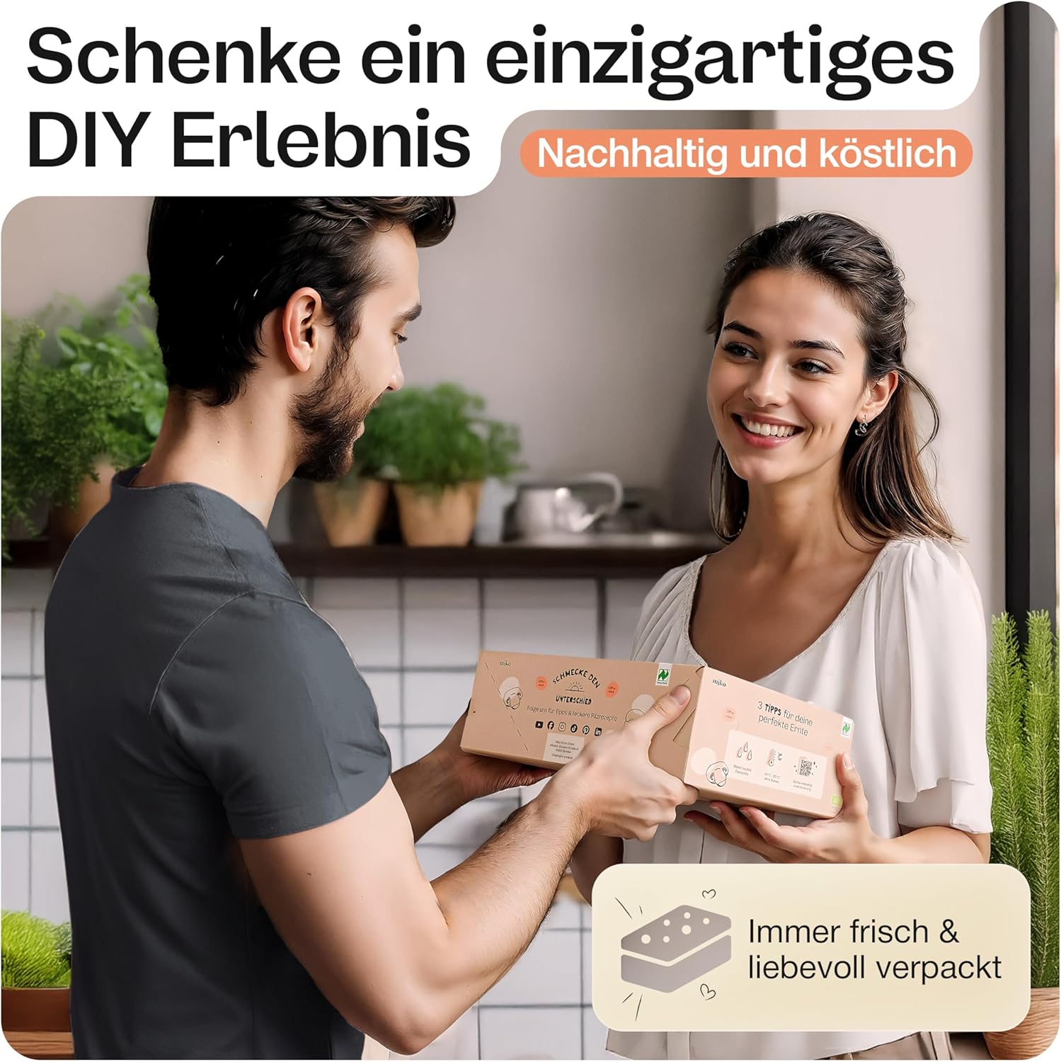 Sparpaket: Bio-Pilzboxen „weiße Champignons“ und „braune Champignons“