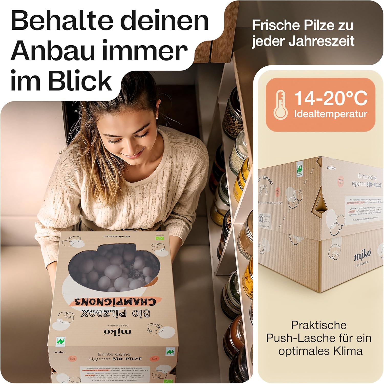 Sparpaket: Bio-Pilzboxen „weiße Champignons“ und „braune Champignons“
